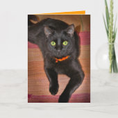 Carte de Halloween de chat noir (Devant)
