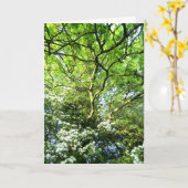 Carte de Handfasting d'aubépine et de chêne (Fleur jaune)