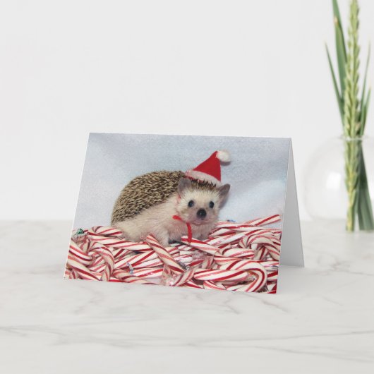 Carte de Hedgie de Noël (Devant)