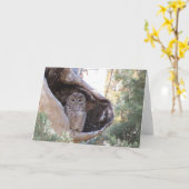 Carte de hibou repérée par Mexicain (Fleur jaune)