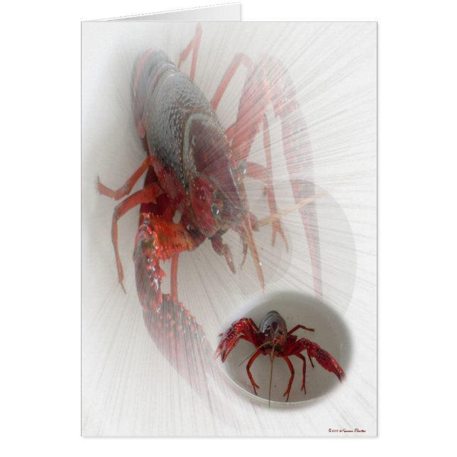 Carte de homard (Devant)