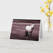 Carte de Horse (Fleur jaune)