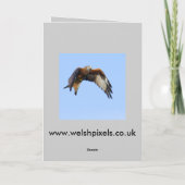 Carte de Hunting (Dos)