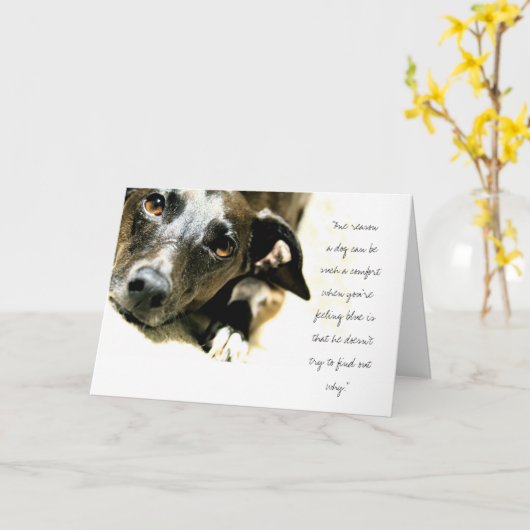 Carte de Jack (Fleur jaune)