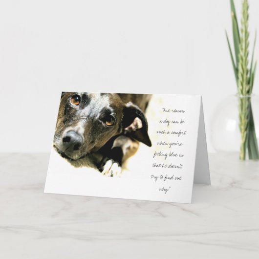 Carte de Jack (Devant)