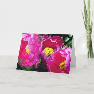 Carte de jardin Magenta Peony de Pepper