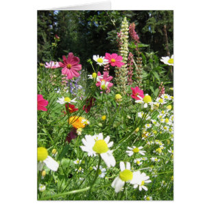 Carte de jardin sauvage