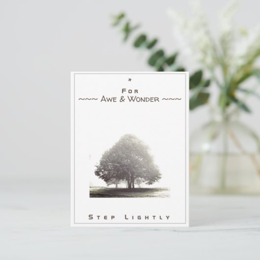 Carte de jonction n° 43 : Pour Awe & Wonder Step l (Debout devant)