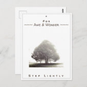 Carte de jonction n° 43 : Pour Awe & Wonder Step l (Devant / Derrière)