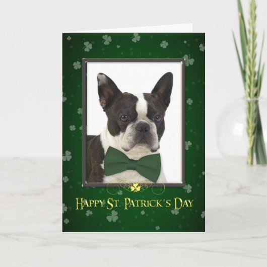 Carte de jour de Boston Terrier St Patrick (Devant)
