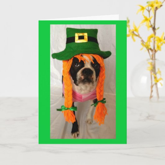 Carte de jour de Boston Terrier St Patrick (Fleur jaune)
