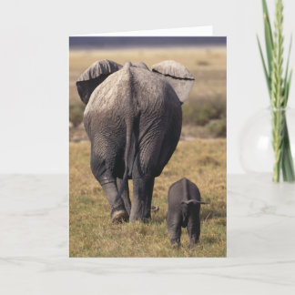 carte de jour de mères