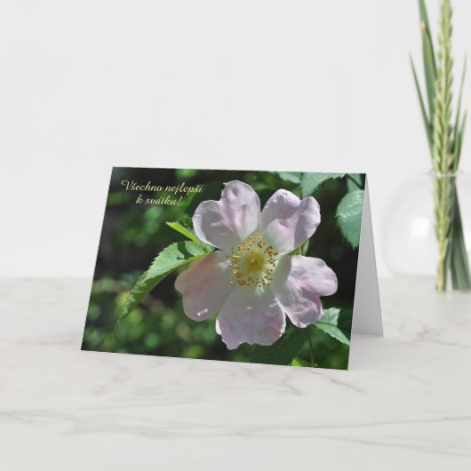 Carte de jour de nom en tchèque (Devant)