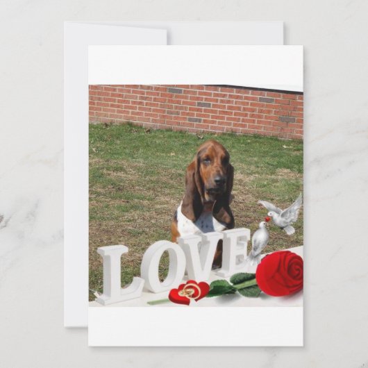 Carte de jour de valentines de la chaîne Basset (Devant)