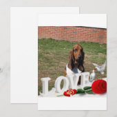 Carte de jour de valentines de la chaîne Basset (Devant / Derrière)