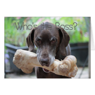 Carte de jour du patron