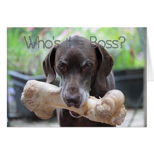 Carte de jour du patron (Devant horizontal)