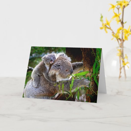 Carte de jour Koala et Joey Mothers (Fleur jaune)