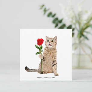 Carte de jour pour les valentines de chats mignons