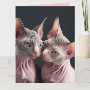 CARTE DE JOUR SPHINX HAIRLESS CAT BIG VALENTINE