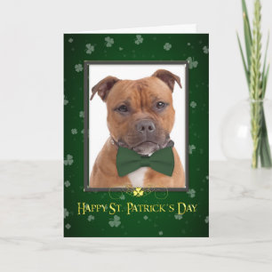 Carte de jour Staffie St. Patricks