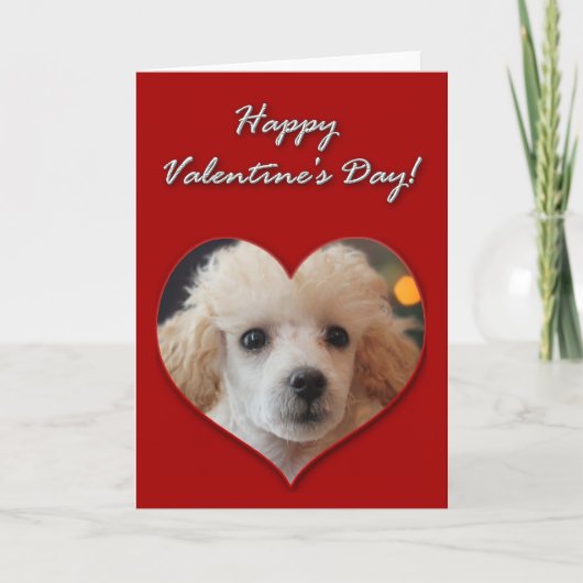 Carte de jour Valentines pour le chiot de Toy Pood (Devant)
