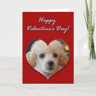Carte de jour Valentines pour le chiot de Toy Pood