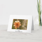 Carte de Joyeux Anniversaire (Dos)