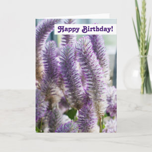 Carte de Joyeux Anniversaire
