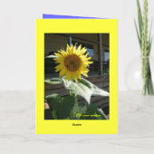 Carte de joyeux anniversaire (Dos)