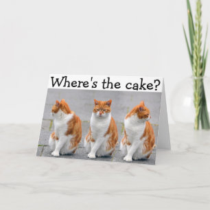 Carte de joyeux anniversaire avec le chat triple