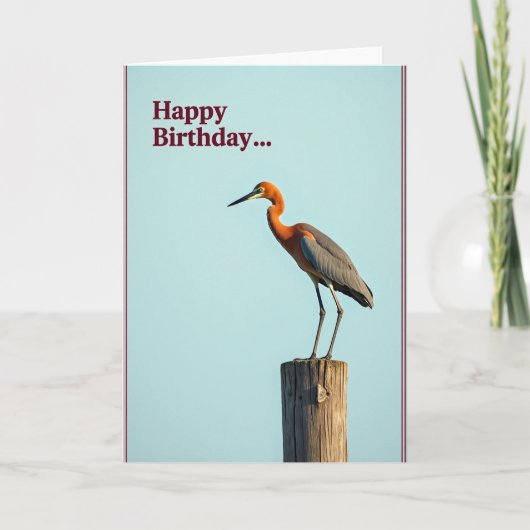 Carte de joyeux anniversaire Avian Grace (Devant)