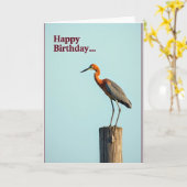 Carte de joyeux anniversaire Avian Grace (Fleur jaune)