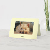 Carte de joyeux anniversaire - carte de Westie (Dos)