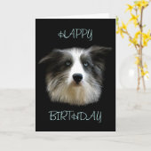 Carte de joyeux anniversaire de border collie (Fleur jaune)