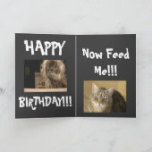 carte de joyeux anniversaire de chat d'omg (Intérieur)