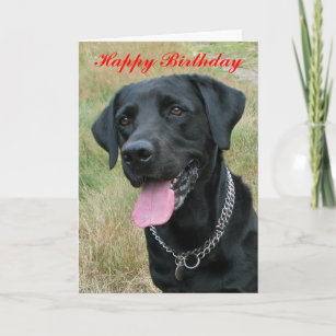 Cartes Noir Labrador D Anniversaire Zazzle Be