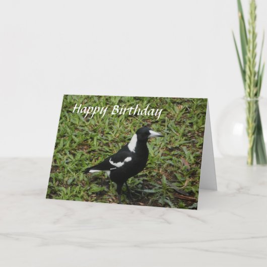 Carte de joyeux anniversaire de pie australienne (Devant)