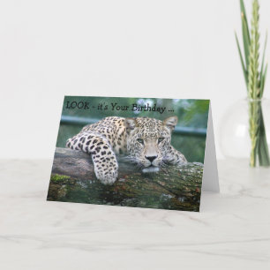 Carte de joyeux anniversaire : Léopard regardant