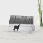 Carte de Joyeux Noël (Devant)