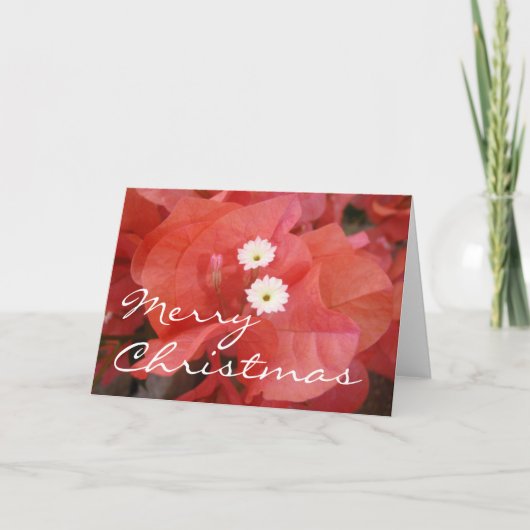 Carte de Joyeux Noël (Devant)