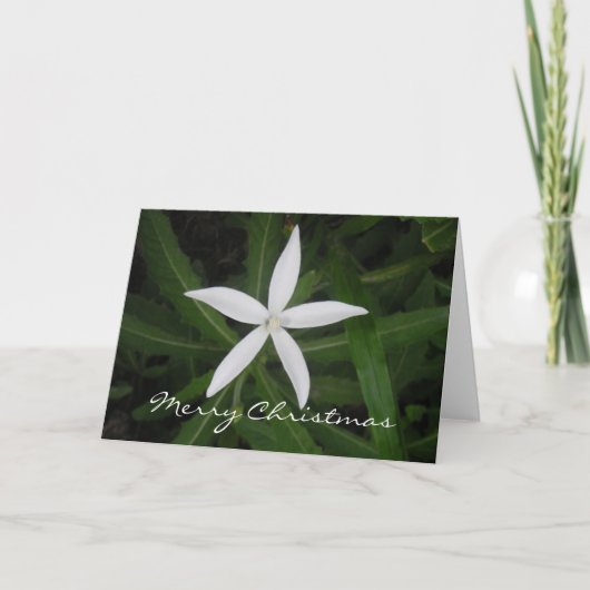 Carte de Joyeux Noël (Devant)