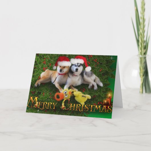 Carte de Joyeux Noël de chien (Devant)