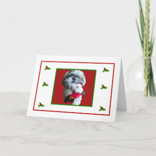 Carte de Joyeux Noël de Shih Tzu