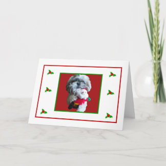 Carte de Joyeux Noël de Shih Tzu