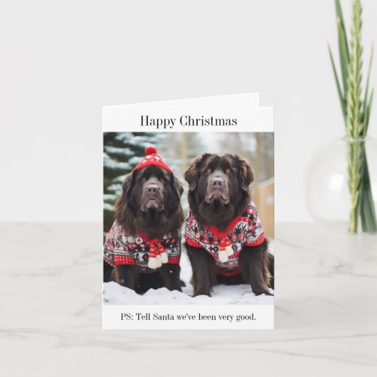 Carte de Jumpers de Noël des chiens de Terre-Neuve (Devant)