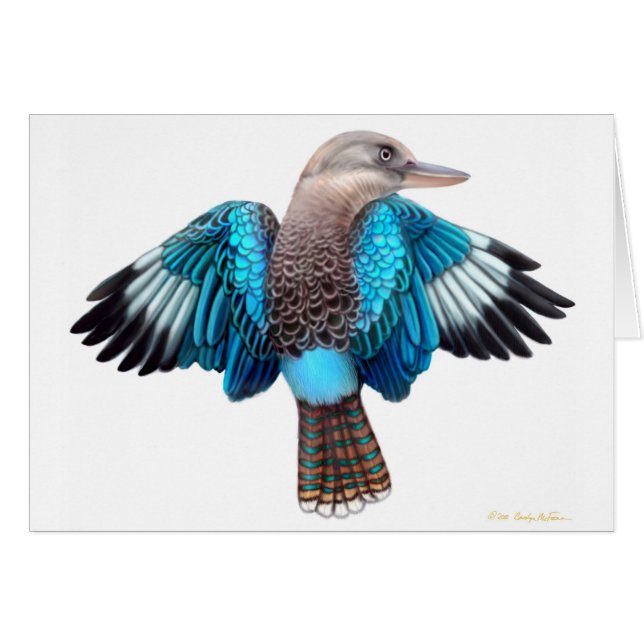 Carte de Kookaburra à ailes par bleu (Devant horizontal)