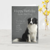 Carte De la Border Collie (Fleur jaune)
