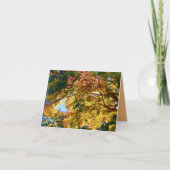 Carte de la Canopée d'Automne (Devant)