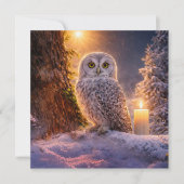 Carte de la Chouette du solstice d'hiver dans la n (Devant)